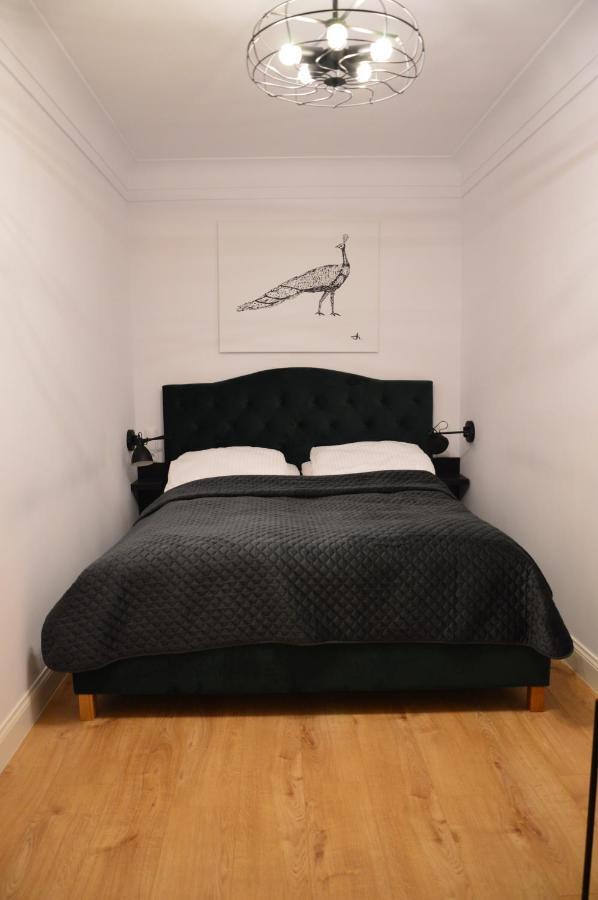 Apartamenty Szeroka 32 Stary Toruń Εξωτερικό φωτογραφία